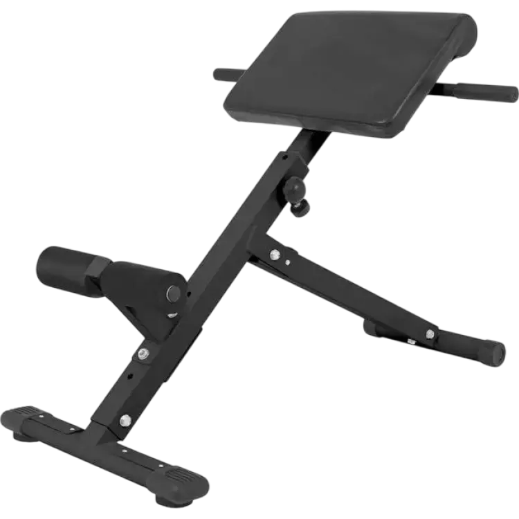 Gorilla Sports Hyperextensions-bänk Rygglyftsbänk Hopfällbar