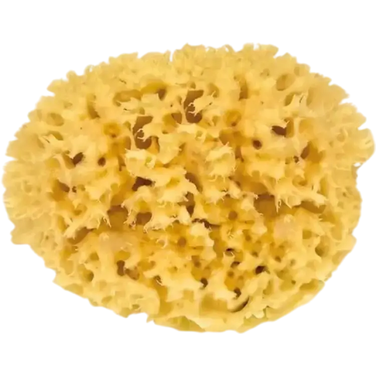 Croll & Denecke Natural Bath Sponge, 13 cm