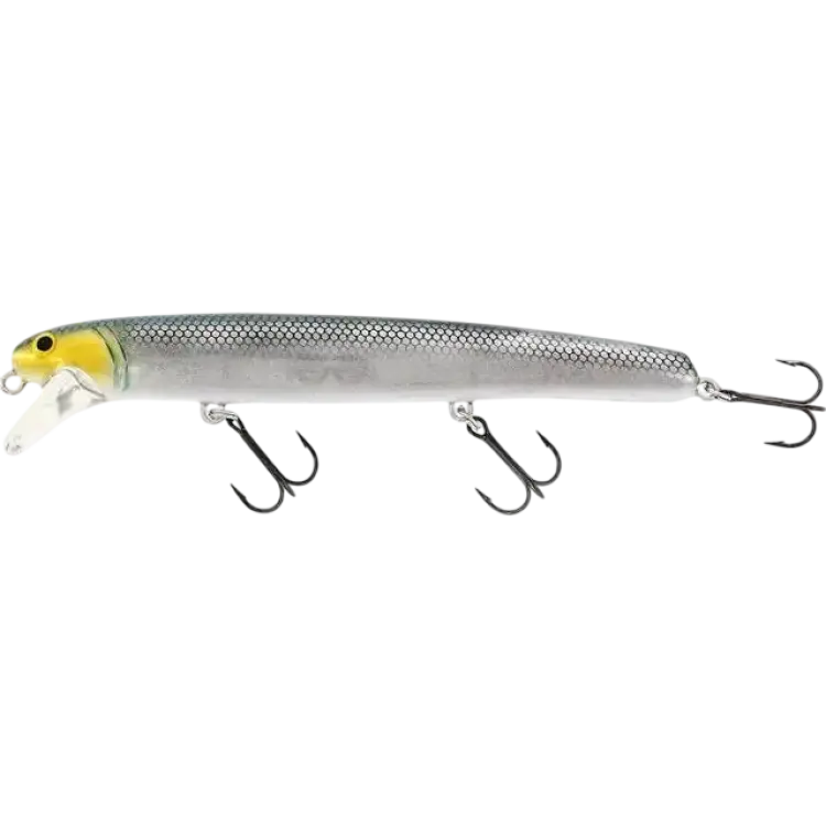 Westin Jätte 23cm