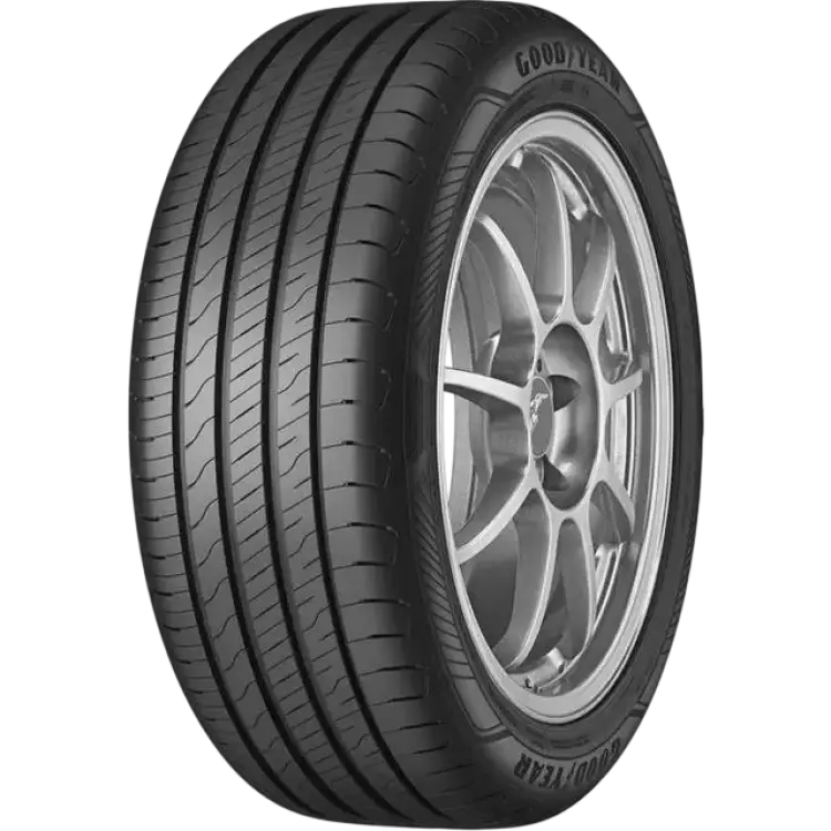 Goodyear EfficientGrip Performance 2 205/55 R16 91V