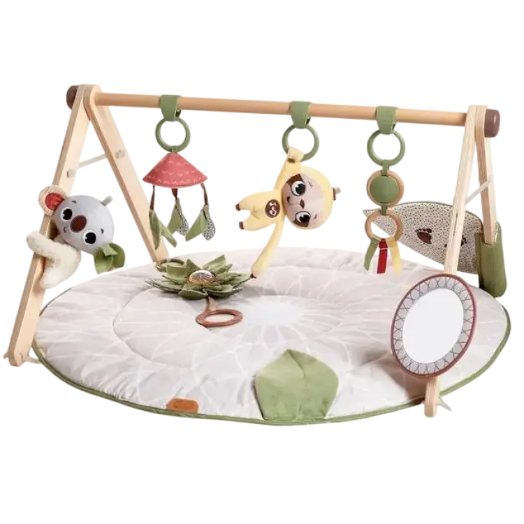 Tiny Love Boho Chic Luxe Developmental Gymini