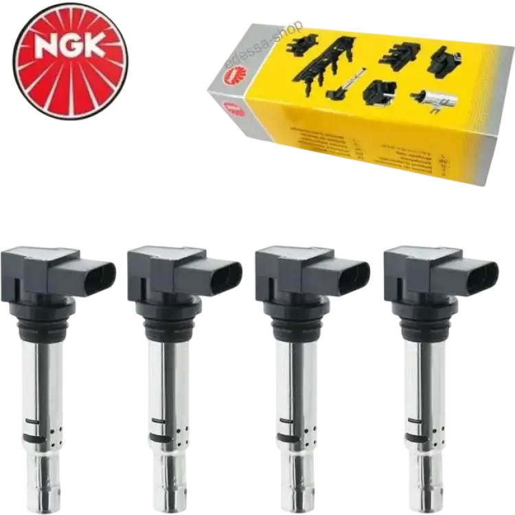NGK Tändspole 48003