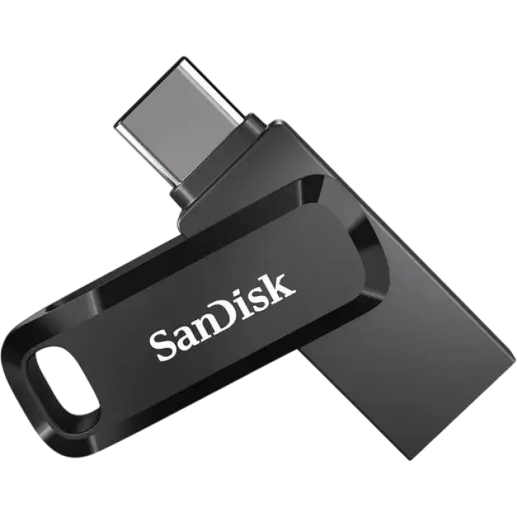 SanDisk USB 3.1 Dual Drive Go Type-C 256GB