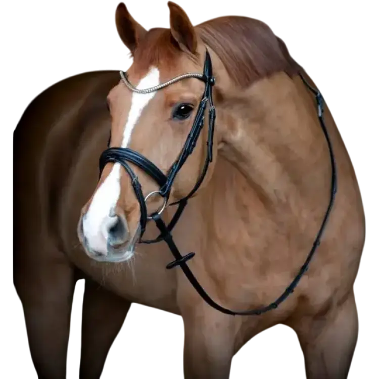 Catago Brooklyn Aachenträns Ponny - Brun