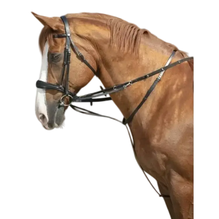 Norton Pro Thiedeman Martingal Assiststöd