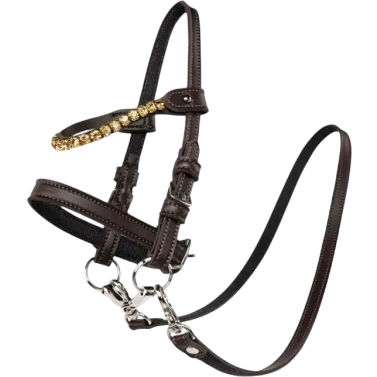 Horse Trense Med Sten - Brun