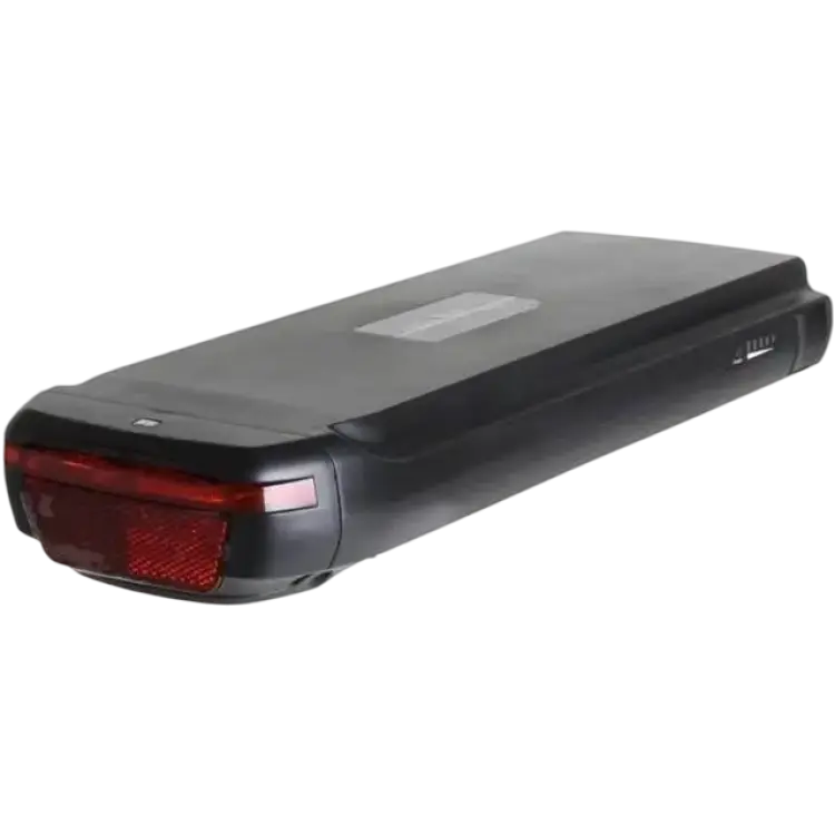Phylion Egoing Battery 36V 504Wh 14Ah