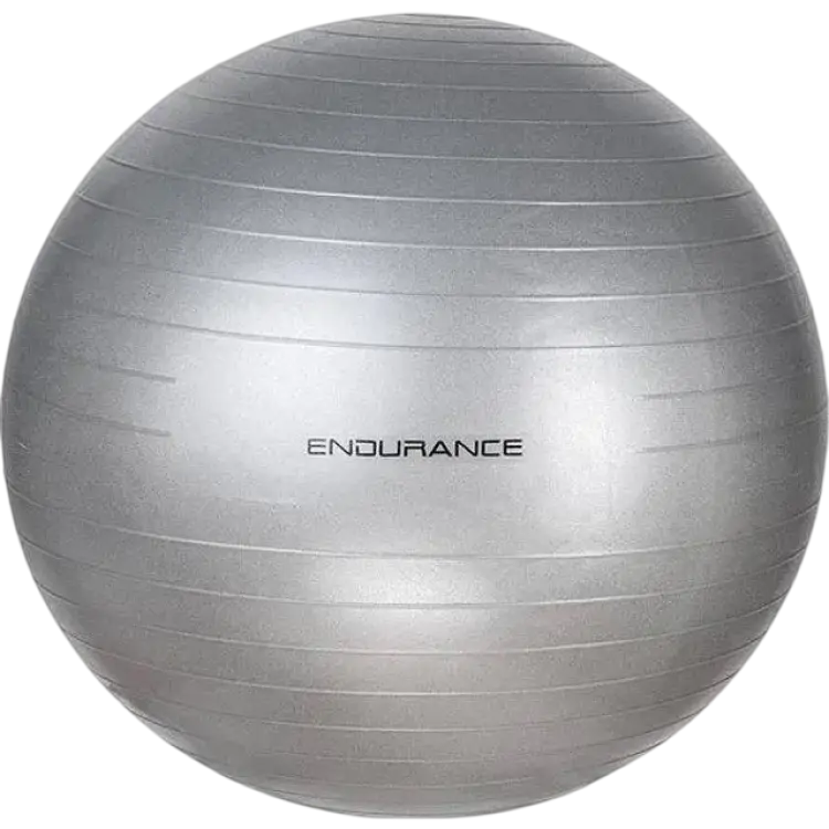 Endurance Gym Ball 65 cm Silver