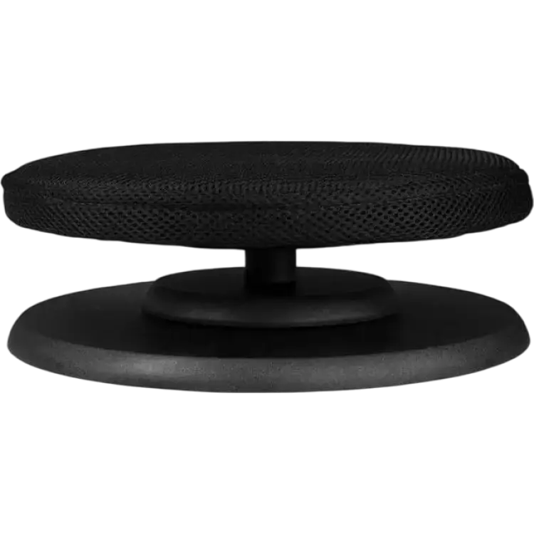 Swedish Posture Ergonomic Balance
