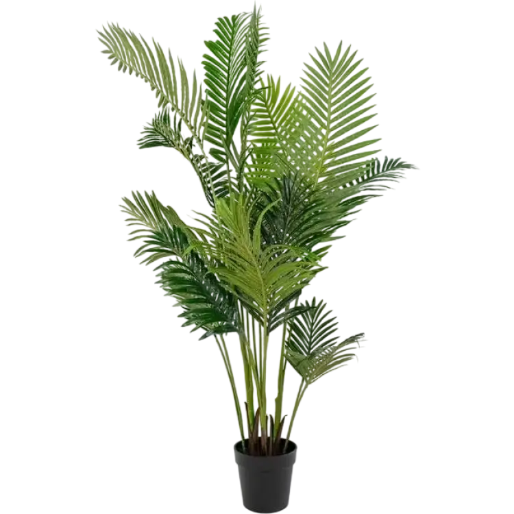 House Nordic Areca Green Konstgjord växt