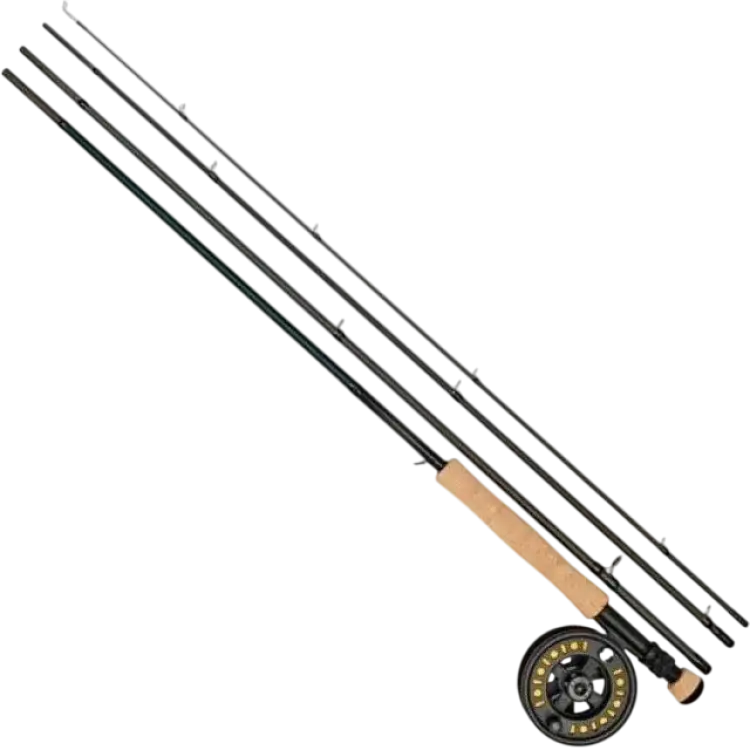 Daiwa D Trout S4 Fly Combo 9'0'' 7/8 #6