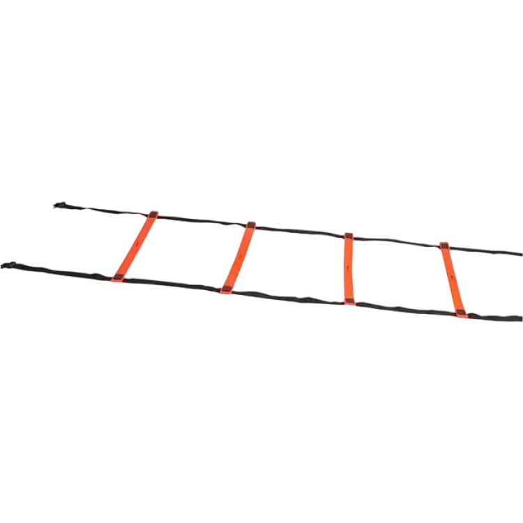 Derbystar Agility Ladder Indoors 600cm