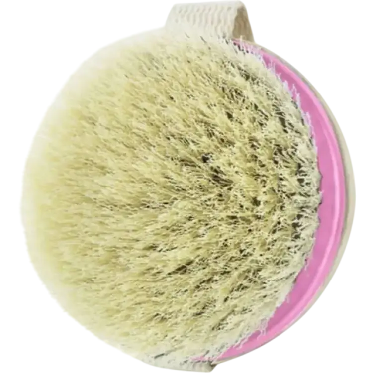 EcoTools Dry Body Brush