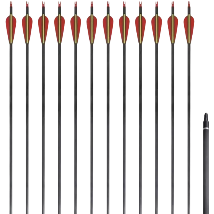 vidaXL Standard Recurve Bow Arrows 12pcs