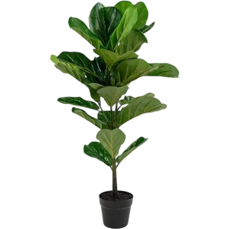House Nordic Fiddle Fig Konstgjord växt