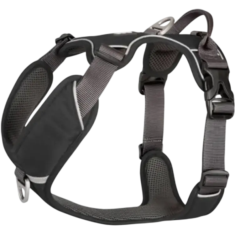 Dog Copenhagen Comfort Walk Pro Harness L