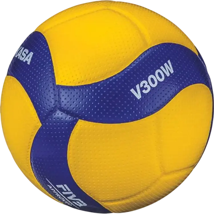 Volleyboll