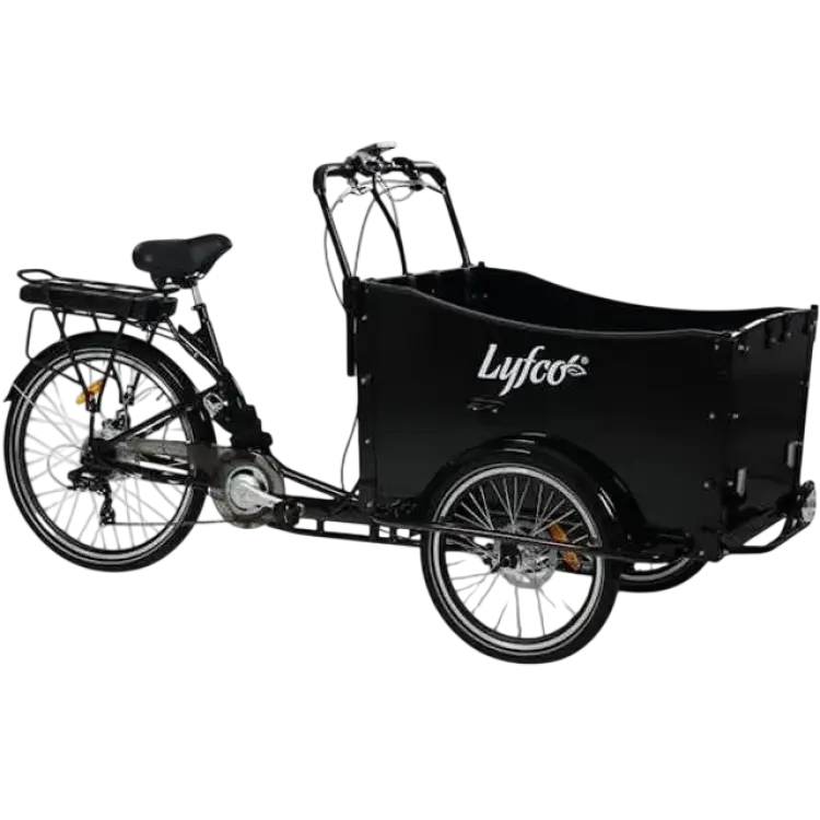 Lyfco UB9019E Cargobike 36V 16AH LG Battery