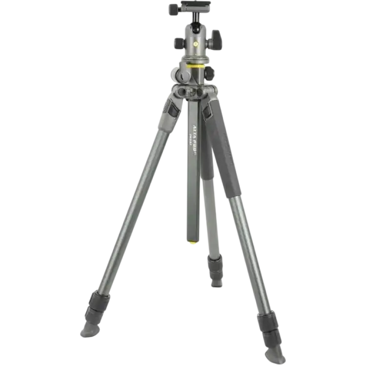 Vanguard Alta Pro 2 + 263AB100