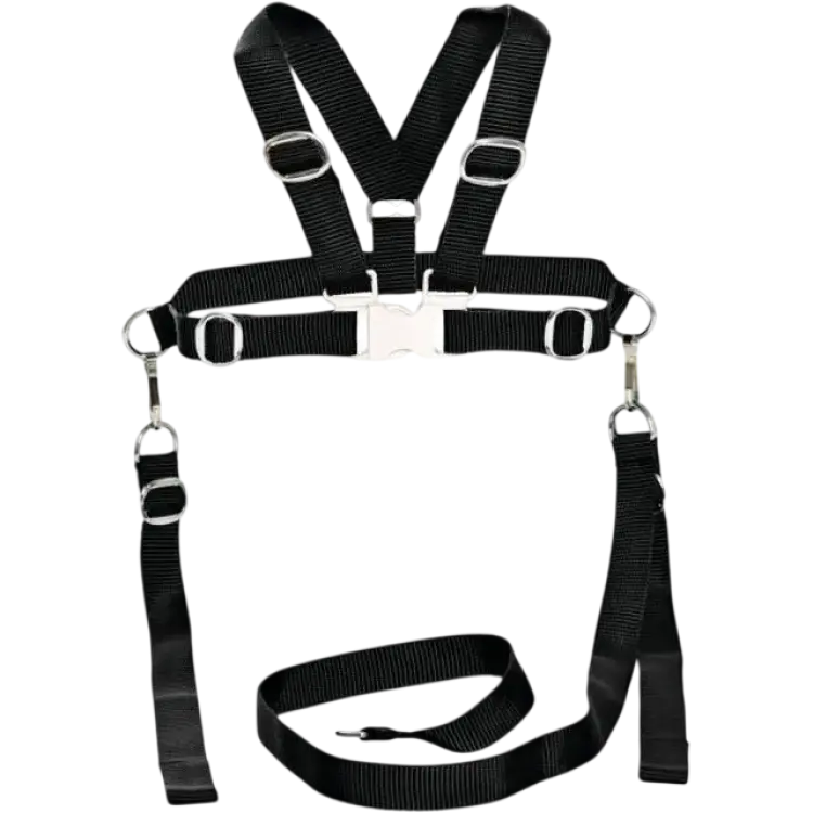 Sunny Baby Harness & Reins