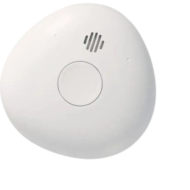 Housegard Fire Alarm Pebble 10
