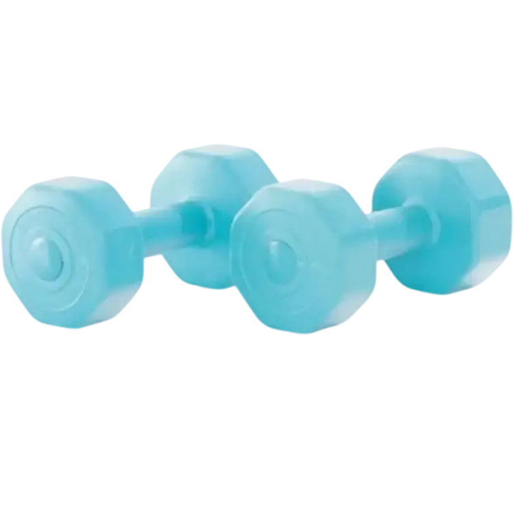 Gymstick Active Vinyl Dumbbells 2x5kg