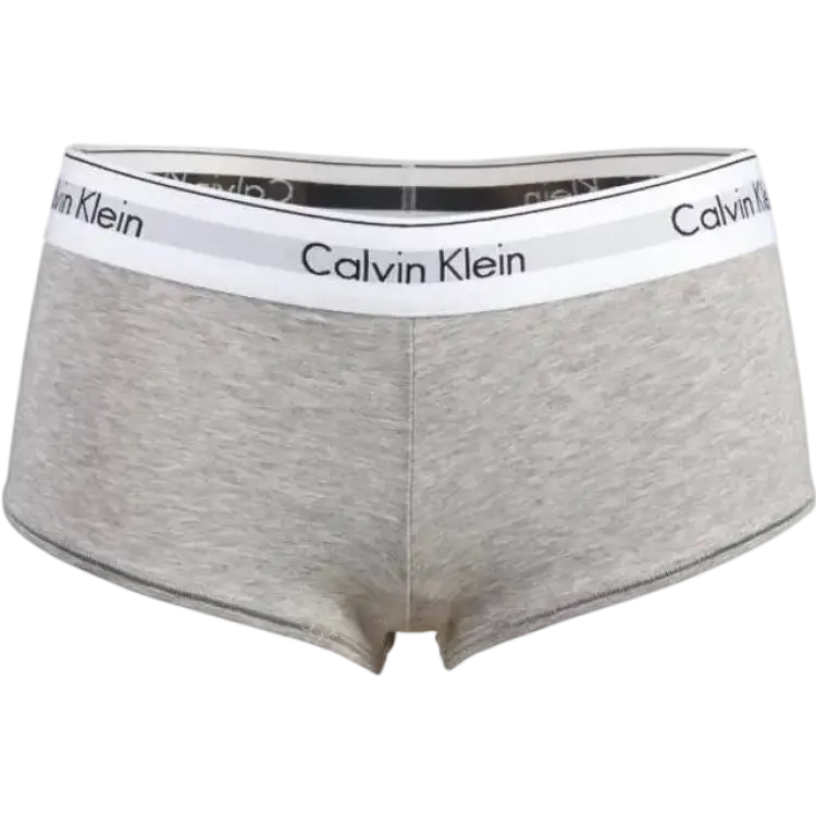 Calvin Klein Modern Cotton High Waisted Hipster Panty