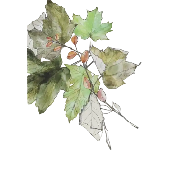 Kreatima Aquarelle Paper Pad A4 300g 50 sheets