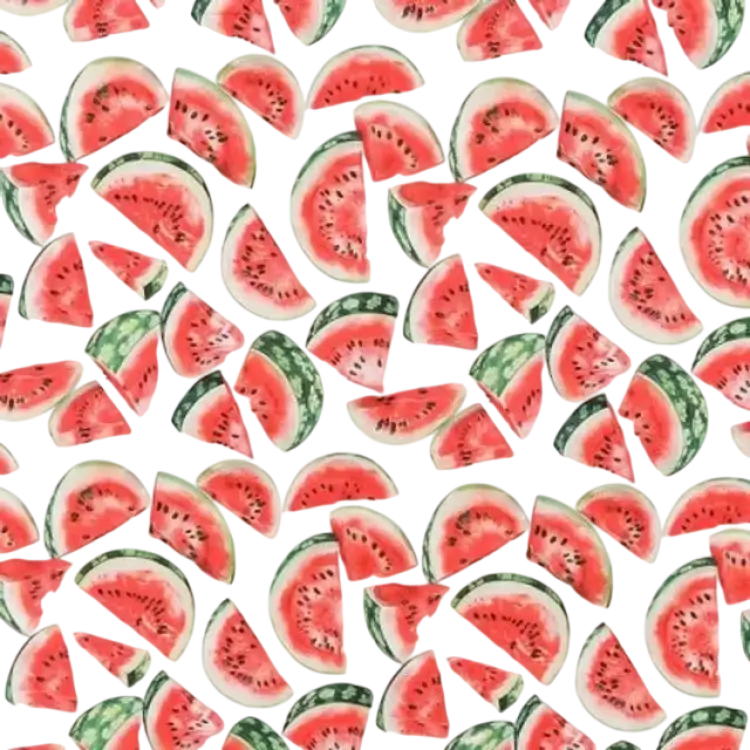 Balsløw Bomullspoplin Tyg 150 cm 015 - Vattenmeloner Metervara