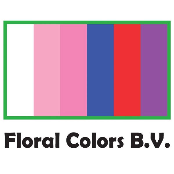 Floral Colors Bv