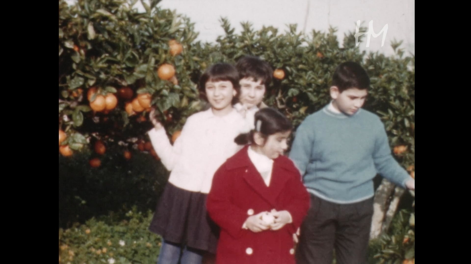 Memoryscapes - Visita a un aranceto