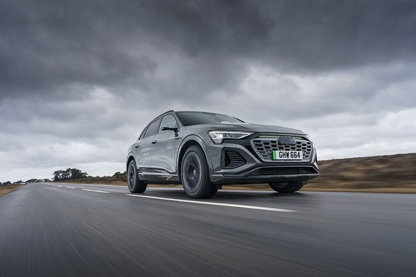 2023 Audi Q8 E-tron - Grille