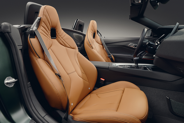 BMW Z4 Handschalter Seats