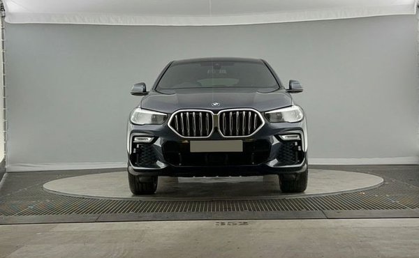 2020 BMW X6 xDrive 30d M Sport - Grille