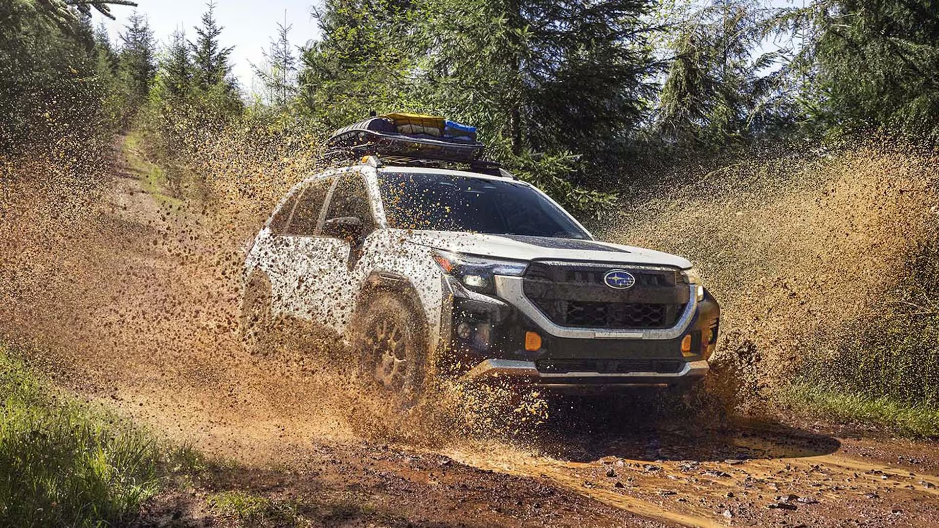 2026 Subaru Forester Wilderness: Новий позашляховик з інноваціями