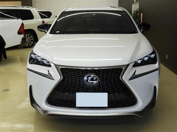 2015 Lexus NX F Sport - Grille