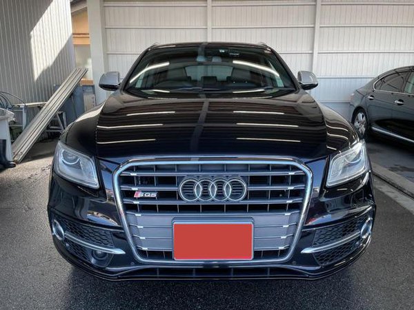 2015 Audi SQ5 3.0 Quattro - Grille
