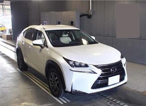 2014 Lexus NX 200T Grille.jpg