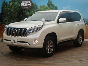 2014 Toyota Landcruiser TX Grille.jpg