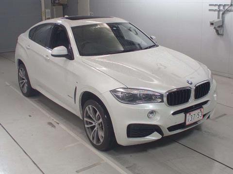 2015 BMW X6 Grille