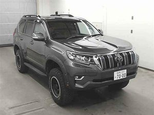 2018 Toyota Land Cruiser Prado TX-L Grille.jpeg