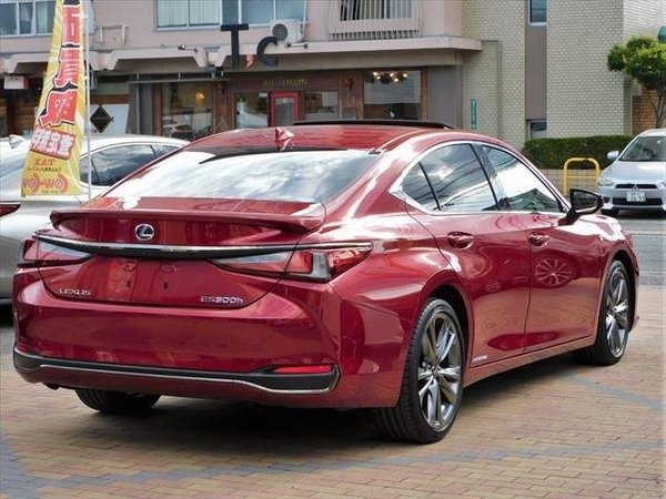 2019 Lexus ES 300h - Rear