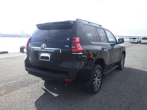 2019 Toyota Land Cruiser Prado - NS Rear