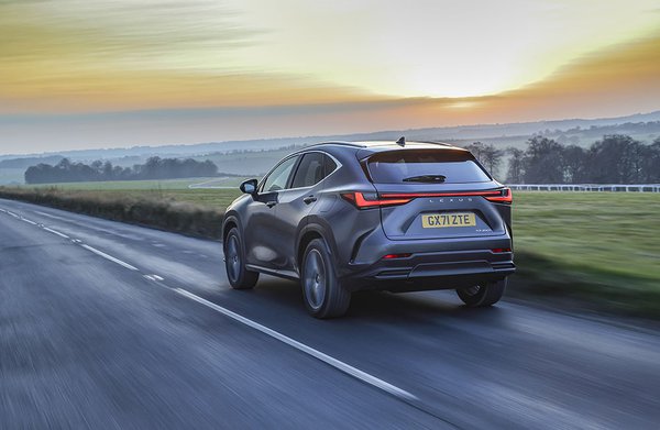 Lexus NX 350h - Rear