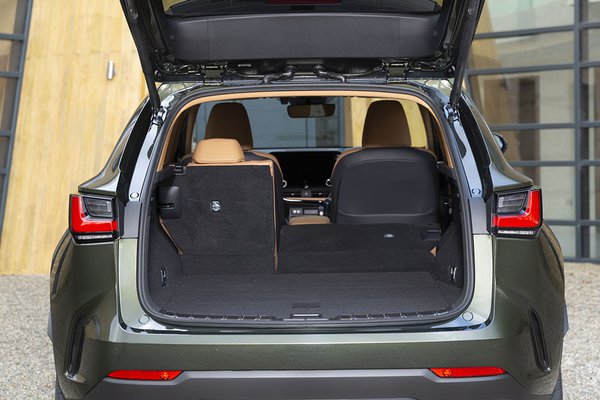 Lexus NX 450h - Trunk