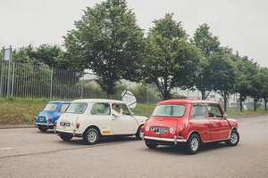 Mini group