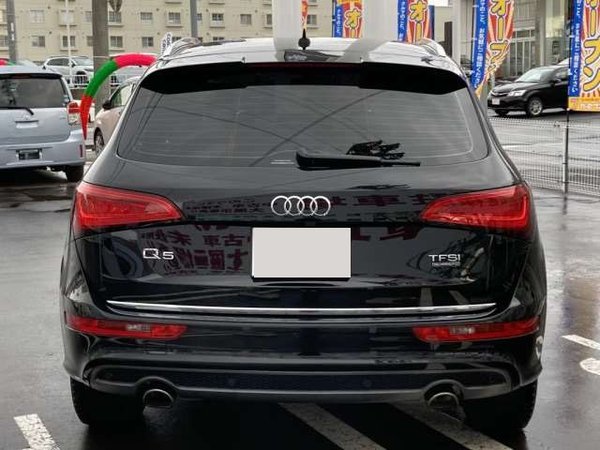 2015 Audi Q5  2.0 TFSI Quattro - Rear
