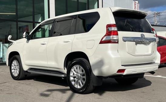 2016 Toyota Land Cruiser Prado TZ-G - OS Rear