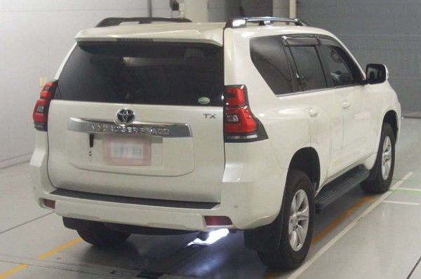 2018 Toyota Land Cruiser Prado TX L - Rear