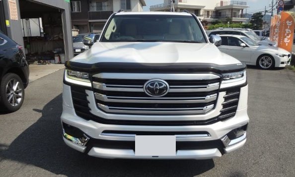 2021 Toyota Land Cruiser ZX - Grille